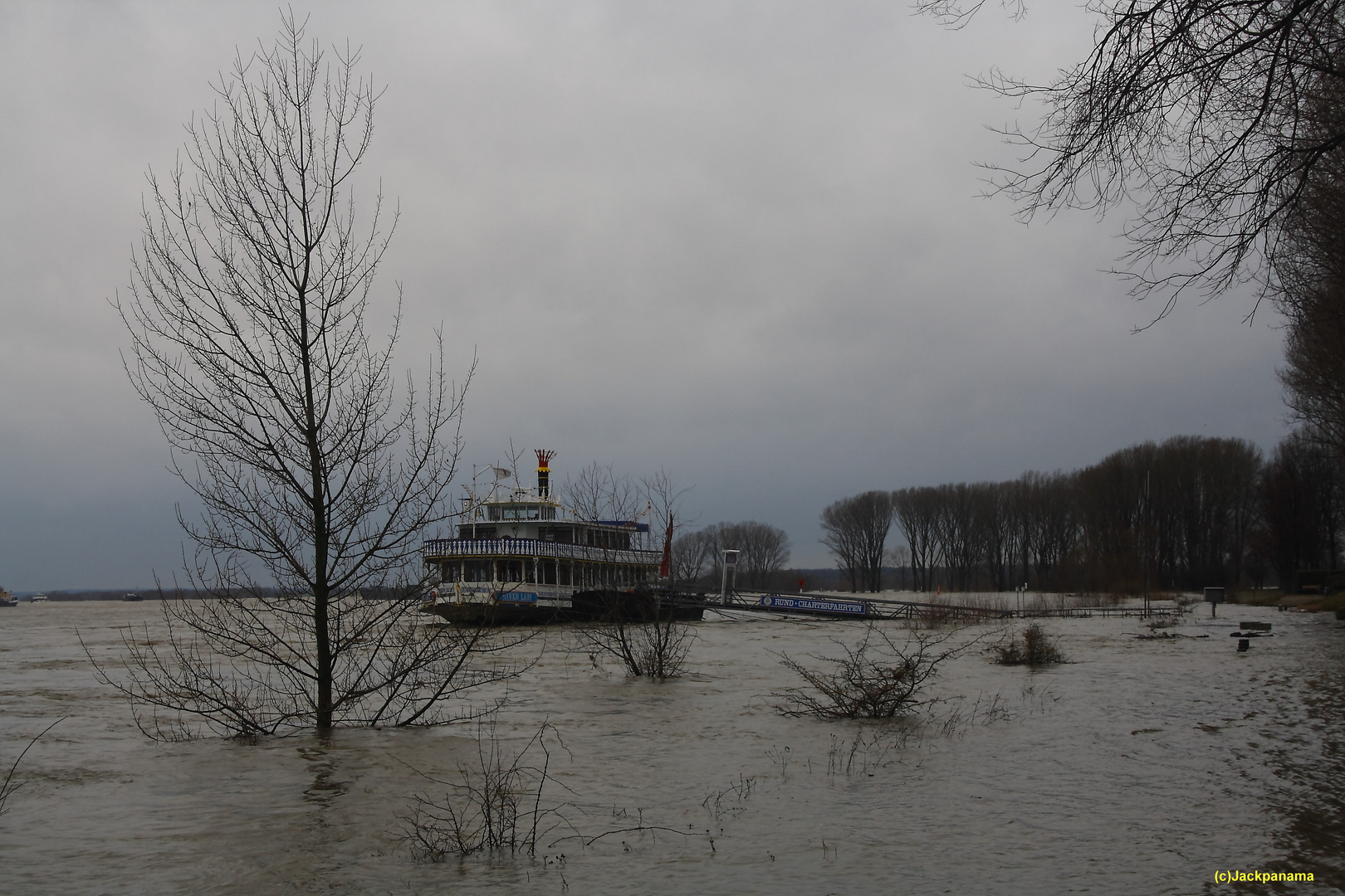 Hochwasser am Rhein in Wesel  -  Der nächste Regen bekommt bestimmt!