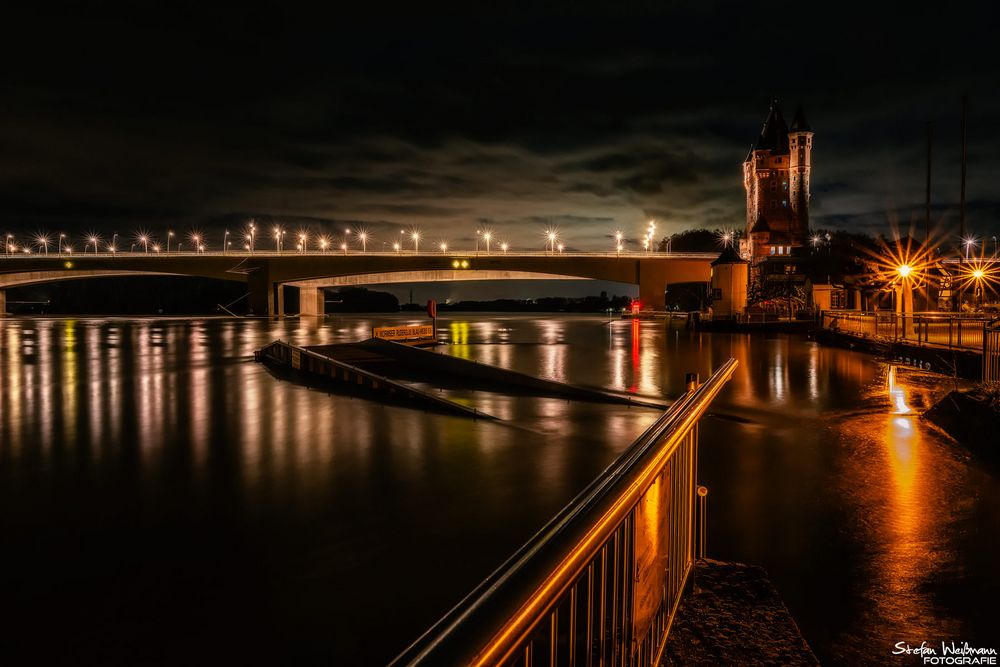 Hochwasser am Rhein in Worms