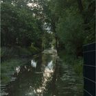 Hochwasser am Rhein oder Das Tor zum Paradies?