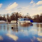 Hochwasser am Rhein von oppenheim 03.02.2021