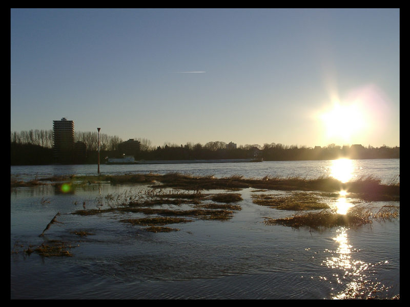 Hochwasser am Rheinufer