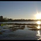 Hochwasser am Rheinufer