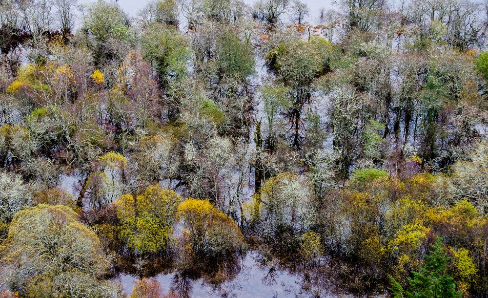 Hochwasser am River Oich, Fort Augustus, Schottland