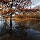 Hochwasser am See