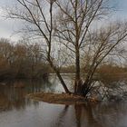 Hochwasser am Seeufer