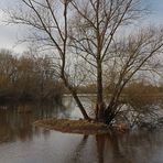 Hochwasser am Seeufer