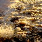 Hochwasser am Sieg-Wehr, Siegburg 02