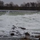 Hochwasser am Siegwehr