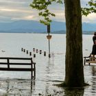 Hochwasser am Starnberger See