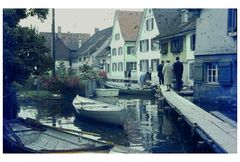 Hochwasser am Untersee, 1965