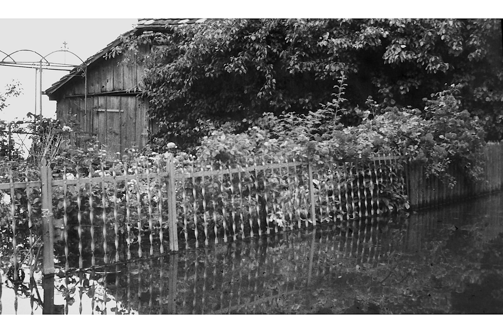 Hochwasser am Untersee, III