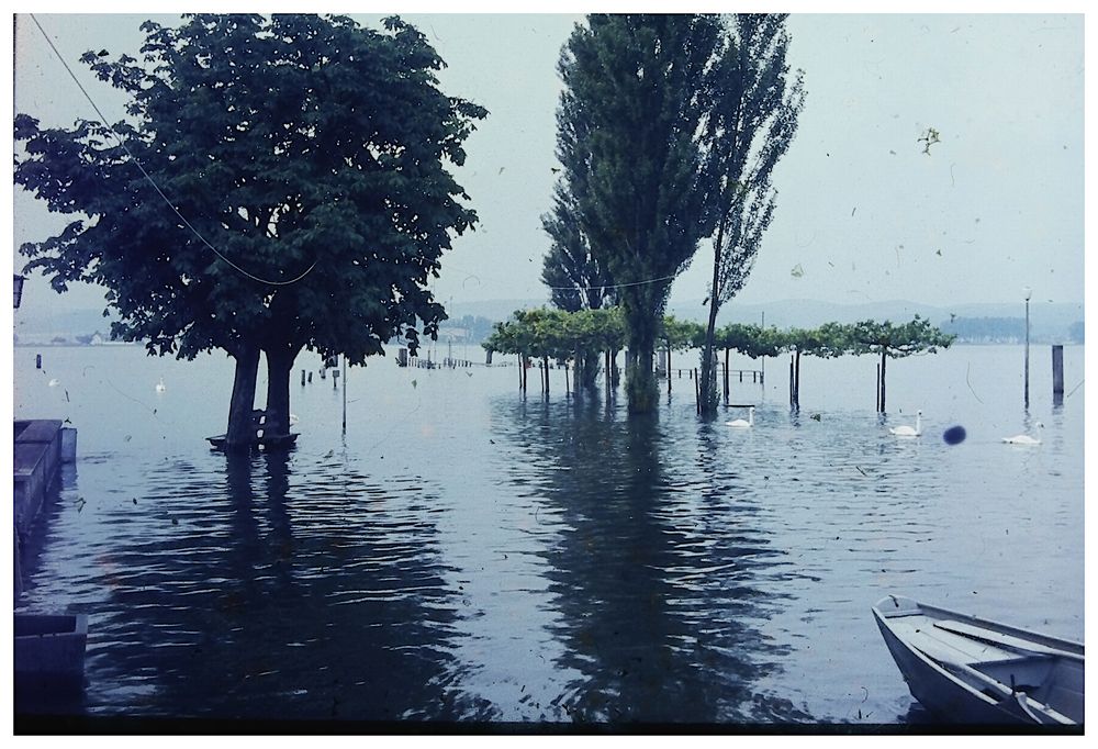 Hochwasser am Untersee, IV