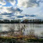 Hochwasser an den Rheinauen südlich von Köln