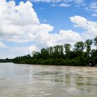 Hochwasser an der Aare