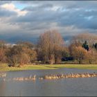 Hochwasser an der Agger II.