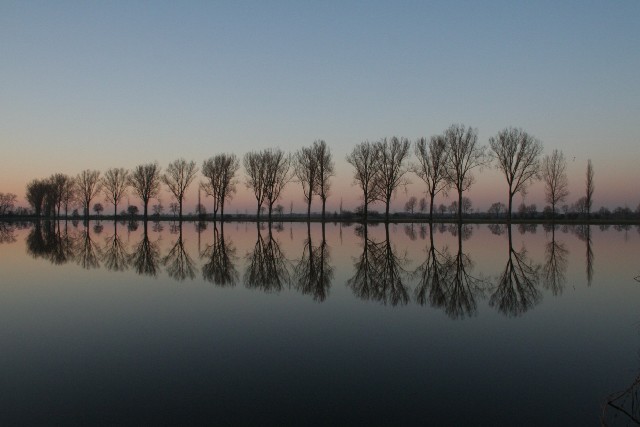 Hochwasser an der Aller