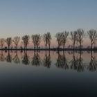 Hochwasser an der Aller