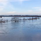 Hochwasser an der alten Ruhr...