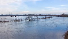 Hochwasser an der alten Ruhr...
