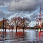 Hochwasser an der Duisburger Mühlenweide