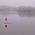 Hochwasser an der Elbe 2