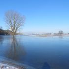 Hochwasser an der Elbe...