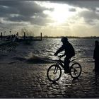 hochwasser an der elbe