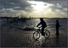 hochwasser an der elbe