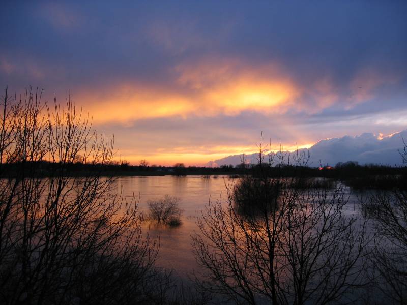 Hochwasser an der Elbe