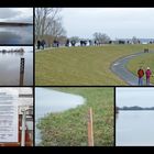 Hochwasser an der Elbe