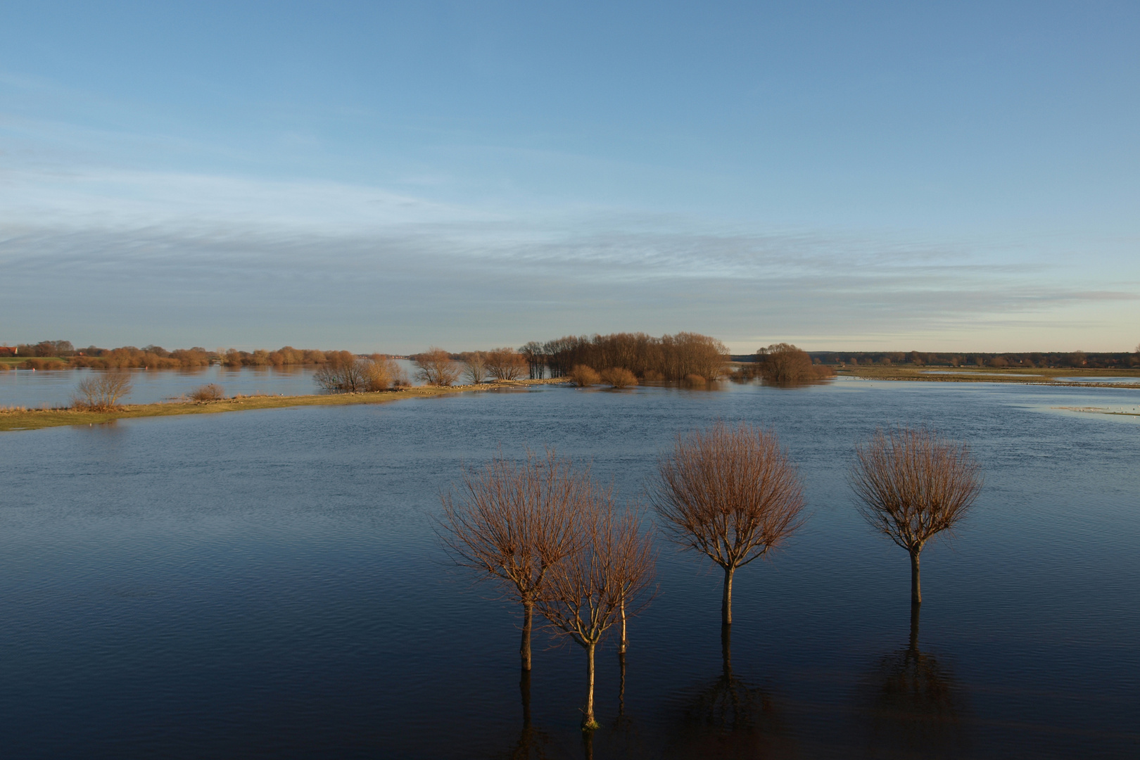 Hochwasser an der Elbe