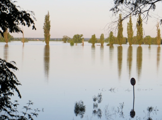 Hochwasser an der Elbe