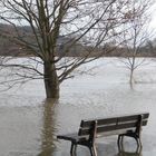 Hochwasser an der Elbe