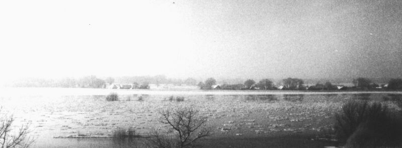 Hochwasser an der Elbe im Gegenlicht