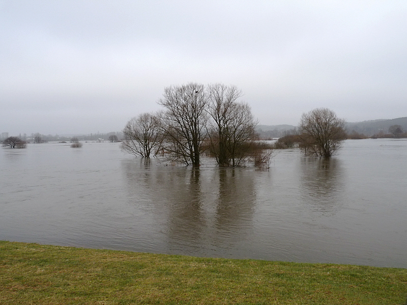 Hochwasser an der Elbe. Immer....