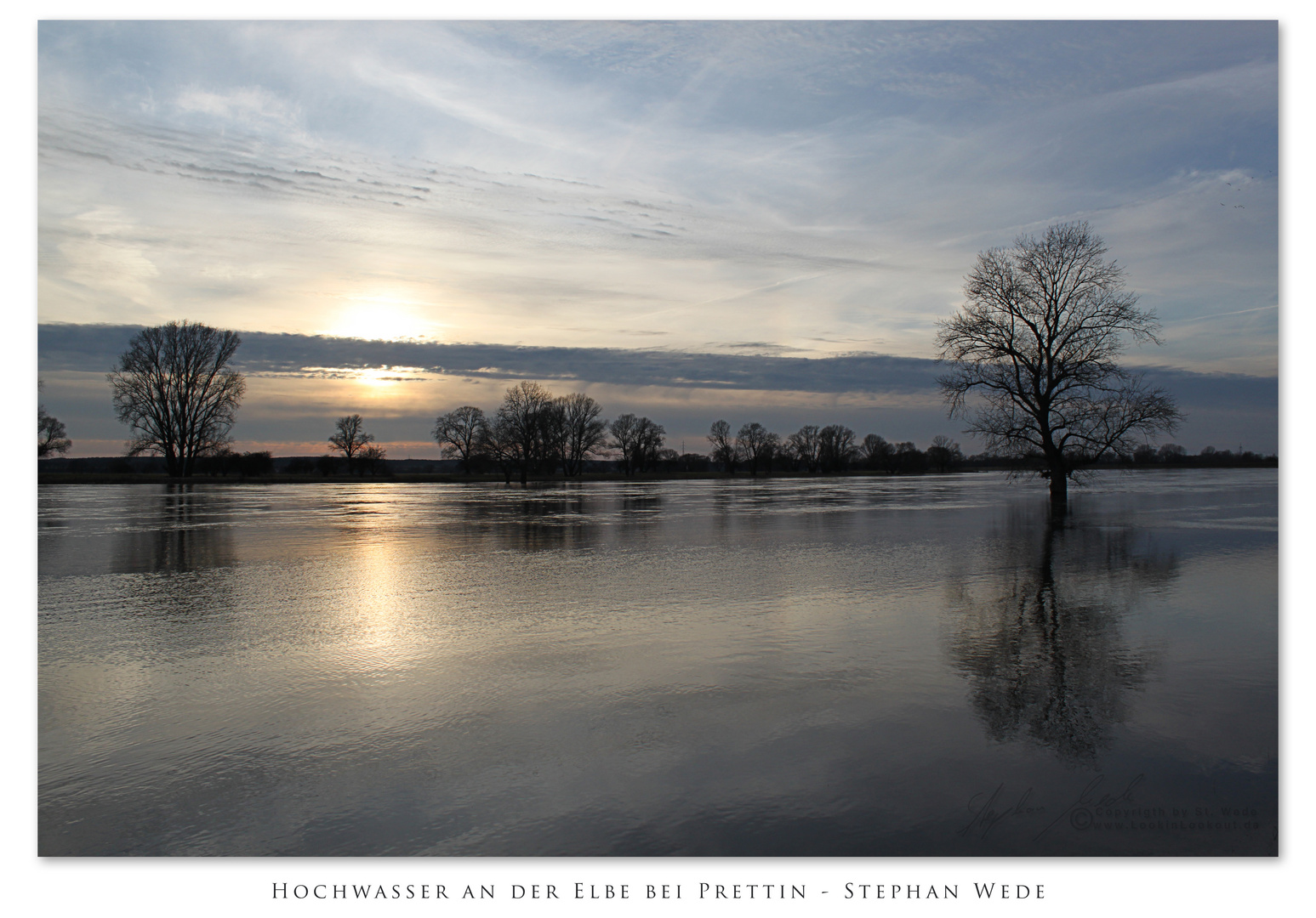 Hochwasser an der Elbe No. 1