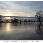 Hochwasser an der Elbe No. 1