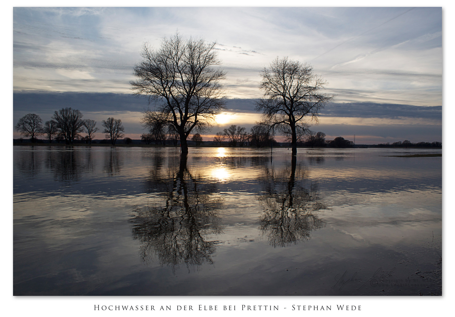 Hochwasser an der Elbe No. 2