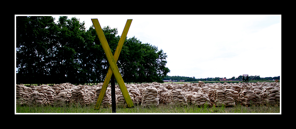 Hochwasser an der Elbe/Hitzacker 2013