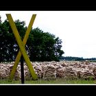 Hochwasser an der Elbe/Hitzacker 2013