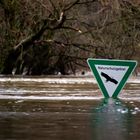 Hochwasser an der Ems