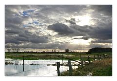 Hochwasser an der Fuhse