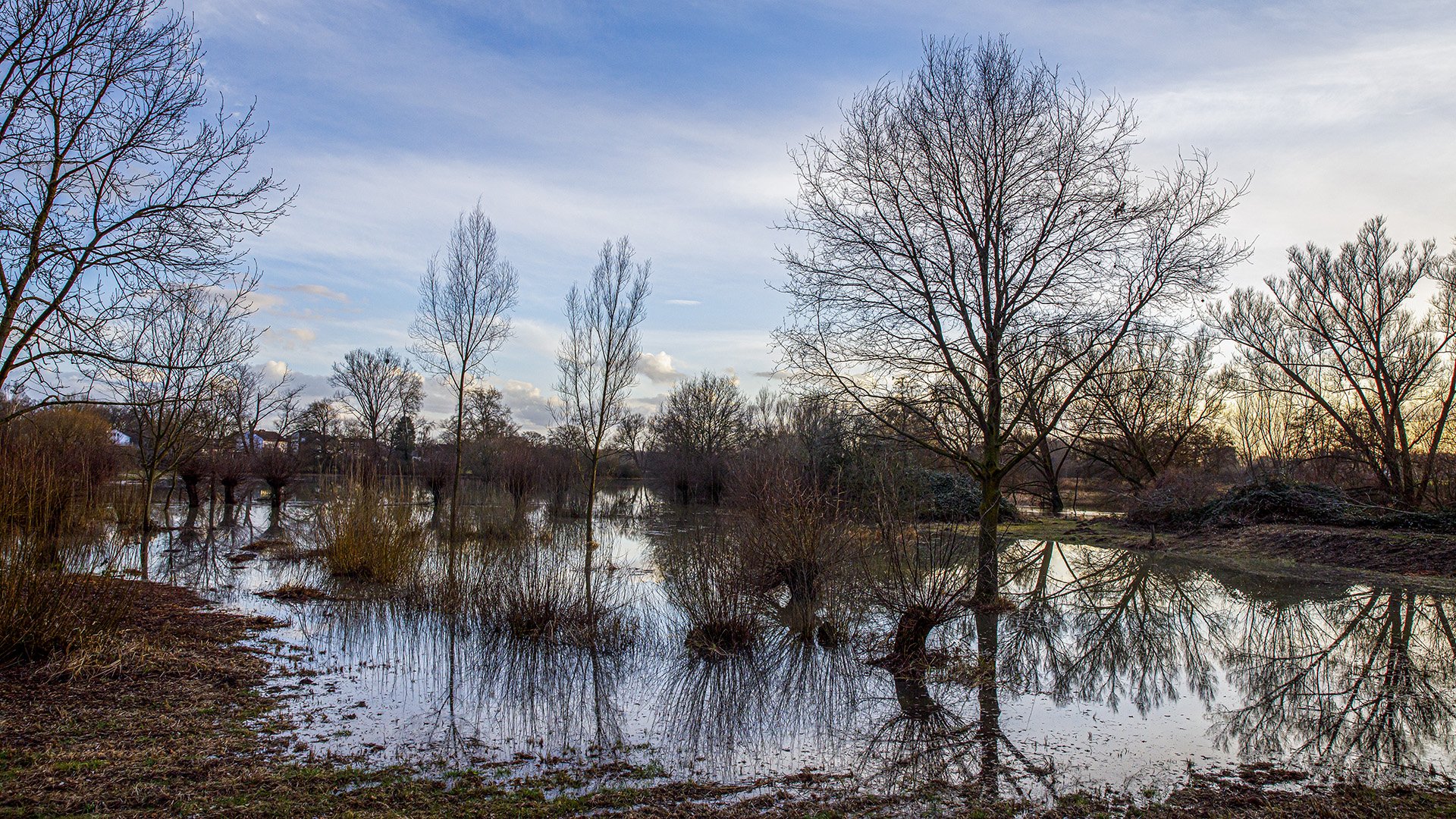 Hochwasser an der Glenne