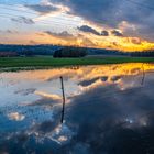 Hochwasser an der Hase bei Natbergen/Stockum