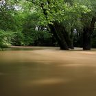 Hochwasser an der Innersten