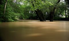 Hochwasser an der Innersten