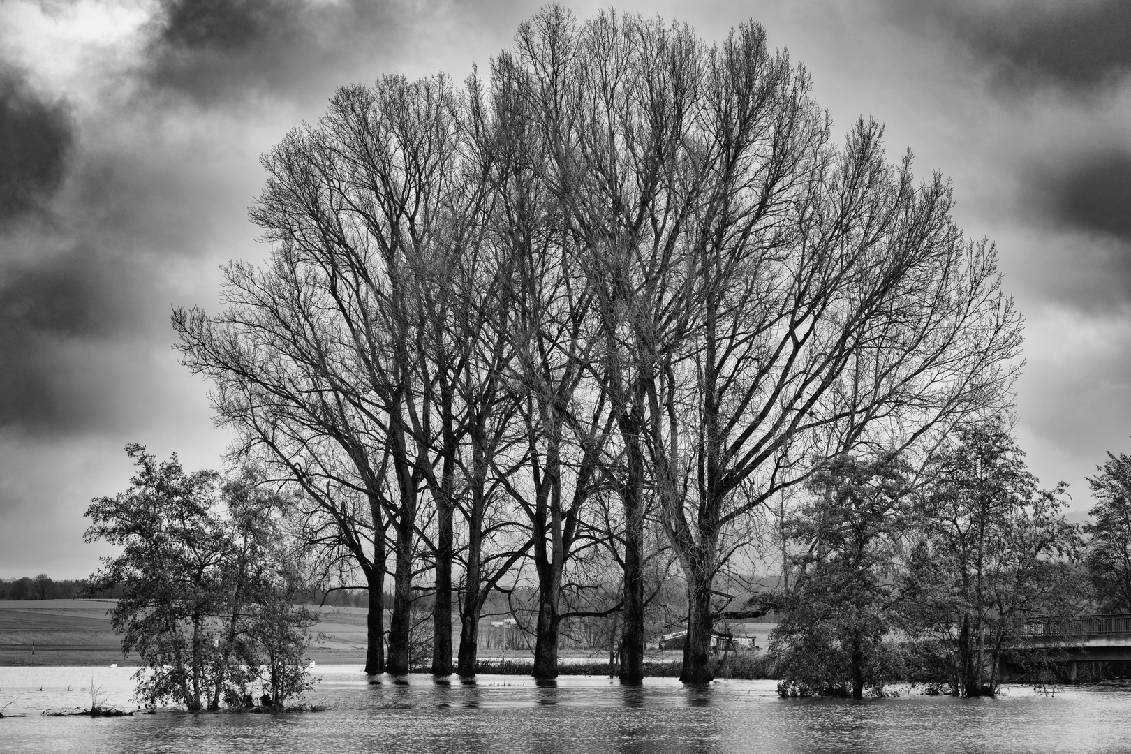 Hochwasser an der jungen Donau