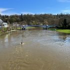 Hochwasser an der Lahn