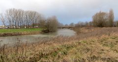 Hochwasser an der Leine