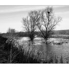 Hochwasser an der Lippe